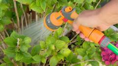 Hampshire and Isle of Wight Face Consecutive Hosepipe Ban Amid Low River Levels