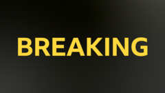 Tottenham Acquires Mateus Fernandes in Club-Record Transfer